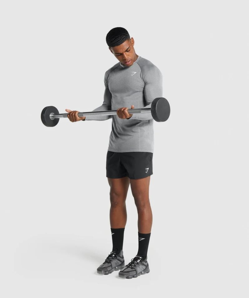 Men's Gymshark Vital Light Seamless Long Sleeve T-Shirts Grey | CA 7N65D3